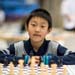 Yichen Han